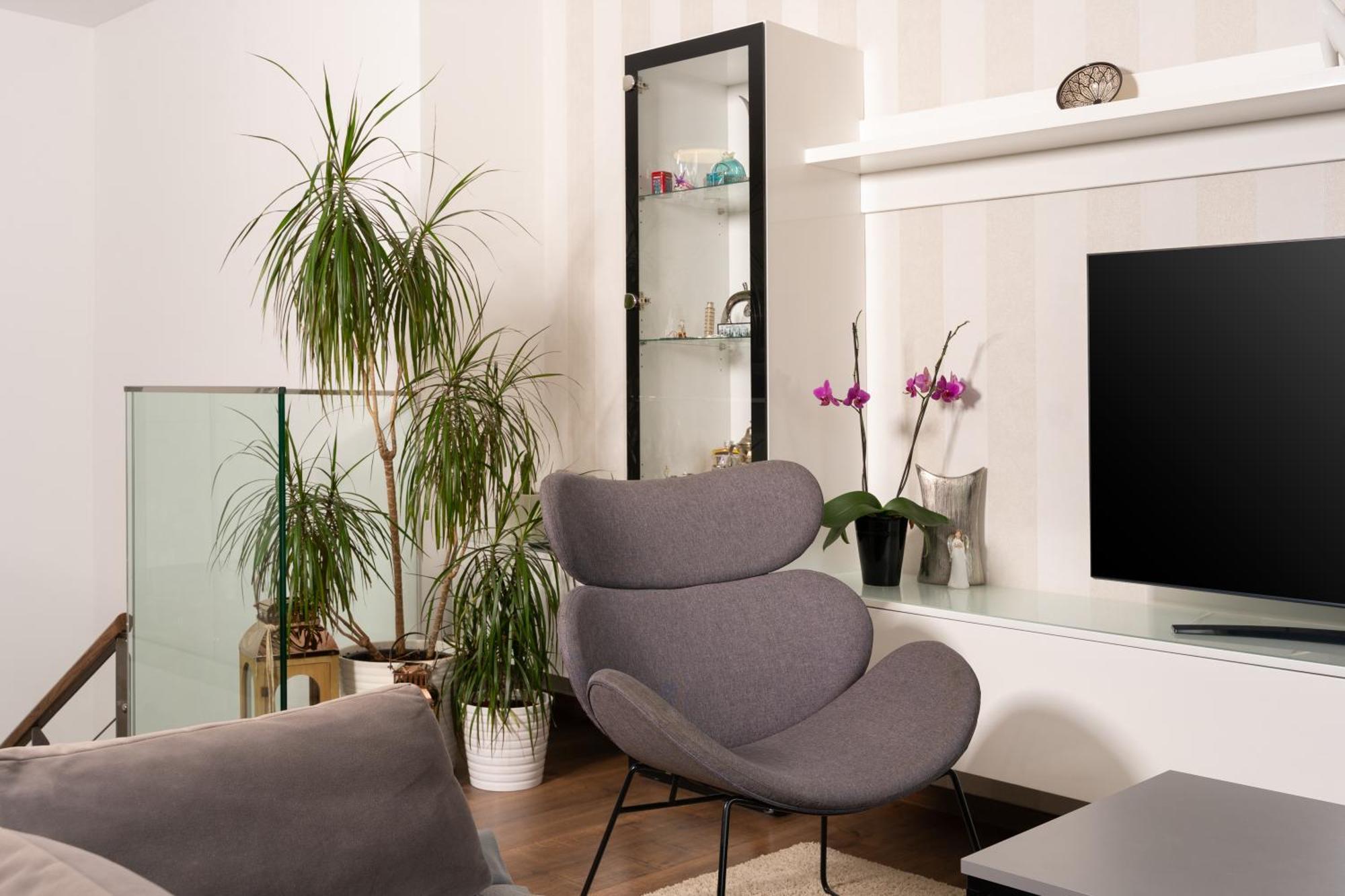 Palma Apartment *